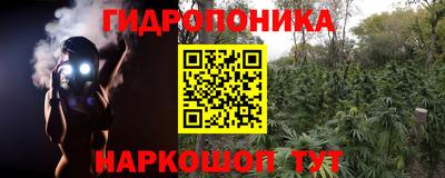 сатива Ливны