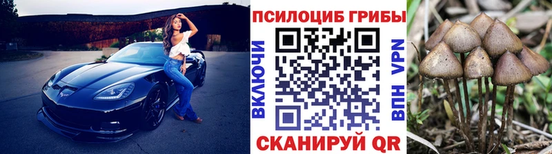 Псилоцибиновые грибы Magic Shrooms  где найти наркотики  Югорск 