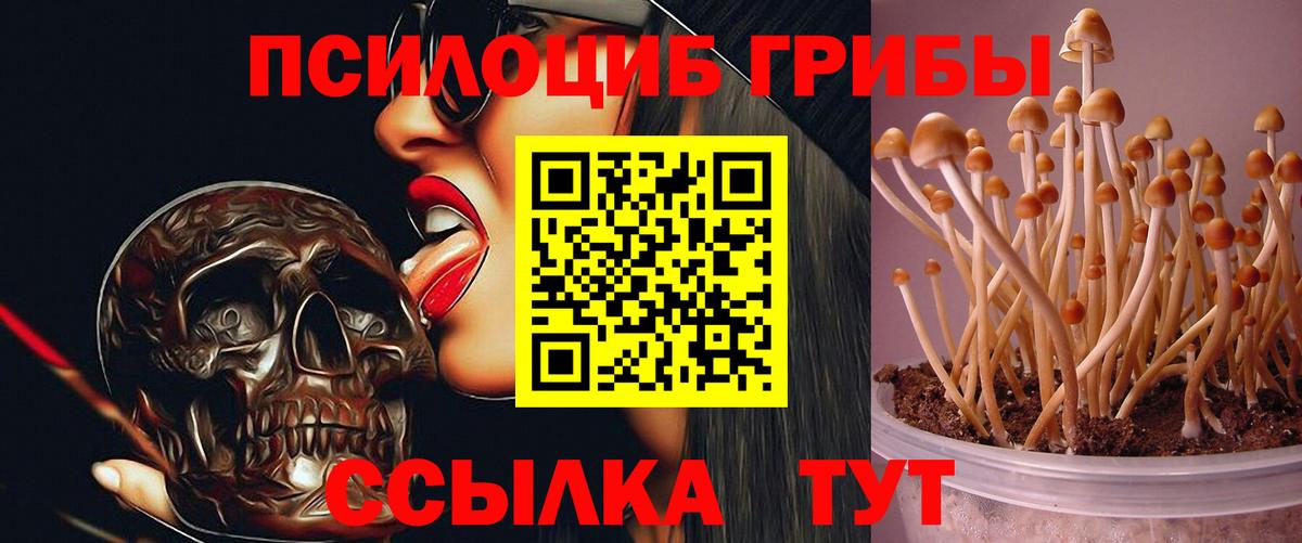 цена   Вход с VPN  Югорск  Галлюциногенные грибы Psilocybine cubensis 